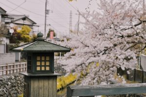 Arbitration Versus Litigation: Choosing the Right Path