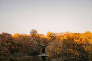 Landmark Cases That Changed the Legal Landscape