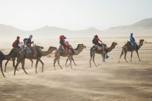 Luxury Train Journeys That Redefine Slow Travel