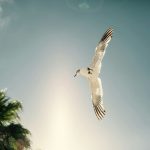 Mortgage Pre-Approval: What Lenders Really Look For