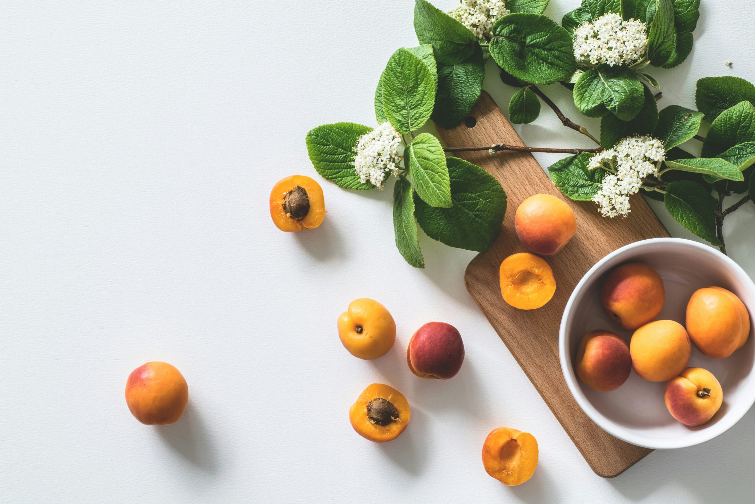 Food Presentation Tricks from World-Class Chefs