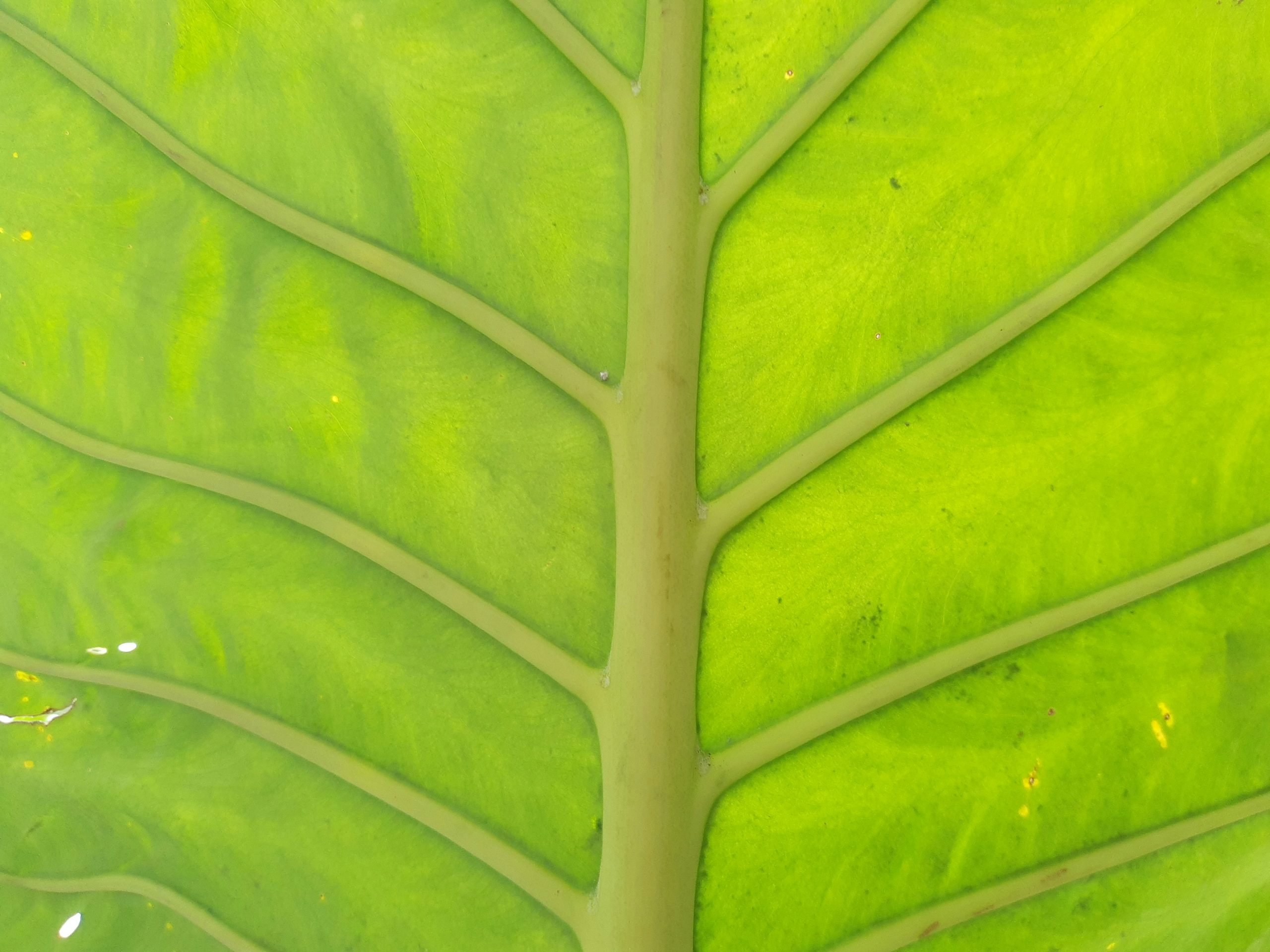 Green Building Materials Leading the Sustainability Charge