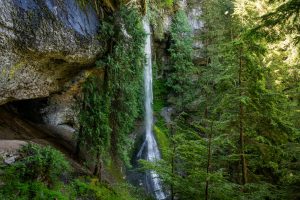 Chasing Waterfalls in Remote Rainforests
